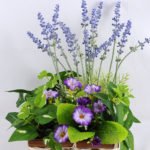 Artificial Flower 19*19*23cm Leaf Lavender in in Basket GS-03319091-Z1