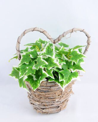 Artificial Flower 17*16*21cm Leaf in Basket GS-03319063