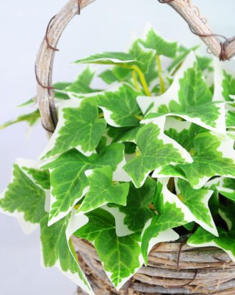 Artificial Flower 17*16*21cm Leaf in Basket GS-03319063