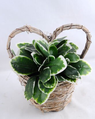 Artificial Flower 17*16*21cm Leaf in Basket GS-03319066