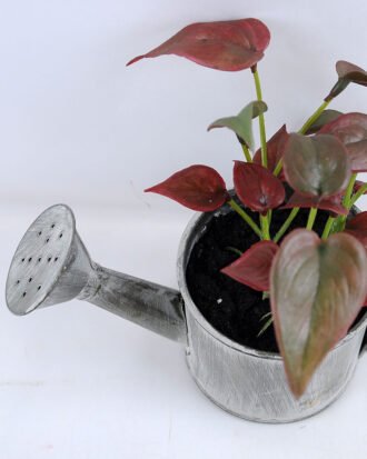 Artificial Flower 15.5*16*13cm Leaf in Tin pot GS-03319172-R1 Potted Flowers&Plants YeahFlower is one of Chinese leading OEM manufacturers and exporters , supplying the silk flowers, wholesale artificial trees Artificial Flower 15.5*16*13cm Leaf in Tin pot GS-03319172-R1