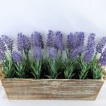 Artificial Flower 10*10*16cm Leaf in in Plastic pot GS-03319067