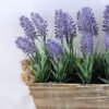 Artificial Flower 10*10*16cm Leaf in in Plastic pot GS-03319067