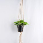Artificial Flower 20*20*20cm Leaves in Plastic Pot, Rope: 82cm GS-03319225