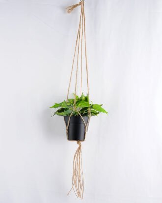 Artificial Flower 20*20*20cm Leaves in Plastic Pot, Rope: 82cm GS-03319225