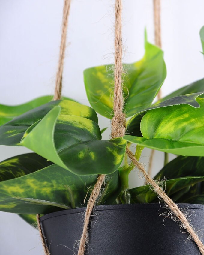 Artificial Flower 20*20*20cm Leaves in Plastic Pot, Rope: 82cm GS-03319225