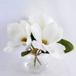 Artificial Flower 29*29*23CM Magnolia*3 in glass pot with fake water GS-52719012