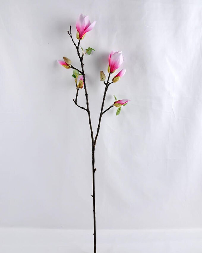 Artificial Flower 20*76CM Mangnolia GS-53619020-Z1 1 Artificial Flower 20*76CM Mangnolia GS-53619020-Z1