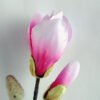 Artificial Flower 20*76CM Mangnolia GS-53619020-Z1 2 Artificial Flower 20*76CM Mangnolia GS-53619020-Z1