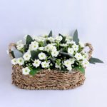 Artificial Flower 20*13*12.5cm Milan in Basket GS-03319057-W1
