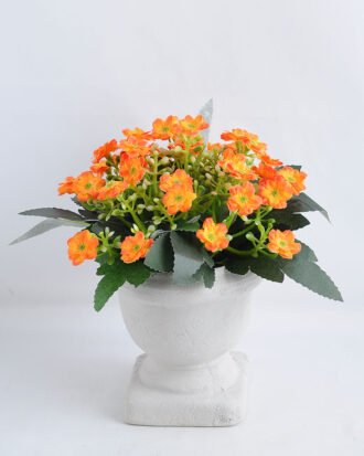 Artificial Flower 14*14*16.5cm Milan in  Paper pot GS-03319119-O1