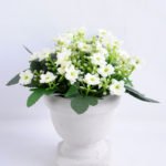 Artificial Flower 14*14*16.5cm Milan in  Paper pot GS-03319119-W1