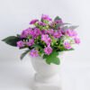 Artificial Flower 14*14*16 Artificial Flower 14*14*16.5cm Milan in Paper pot GS-03319119-Z2