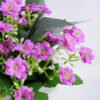 Artificial Flower 14*14*16 Artificial Flower 14*14*16.5cm Milan in Paper pot GS-03319119-Z2