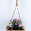 Artificial Flower H:16cm Milan in plastic pot wiht 22*12*44cm wooden pallet GS-03319196 1 Artificial Flower H:16cm Milan in plastic pot wiht 22*12*44cm wooden pallet GS-03319196