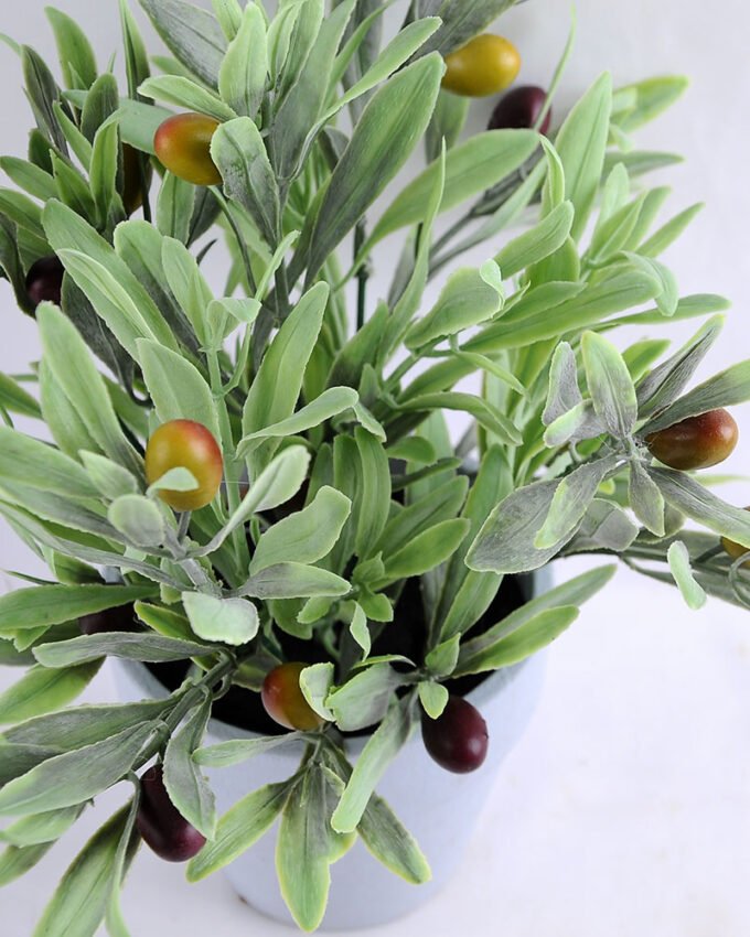 Artificial Flower 23*20*25 Artificial Flower 23*20*25.5cm Olive in Paper pot GS-03319161