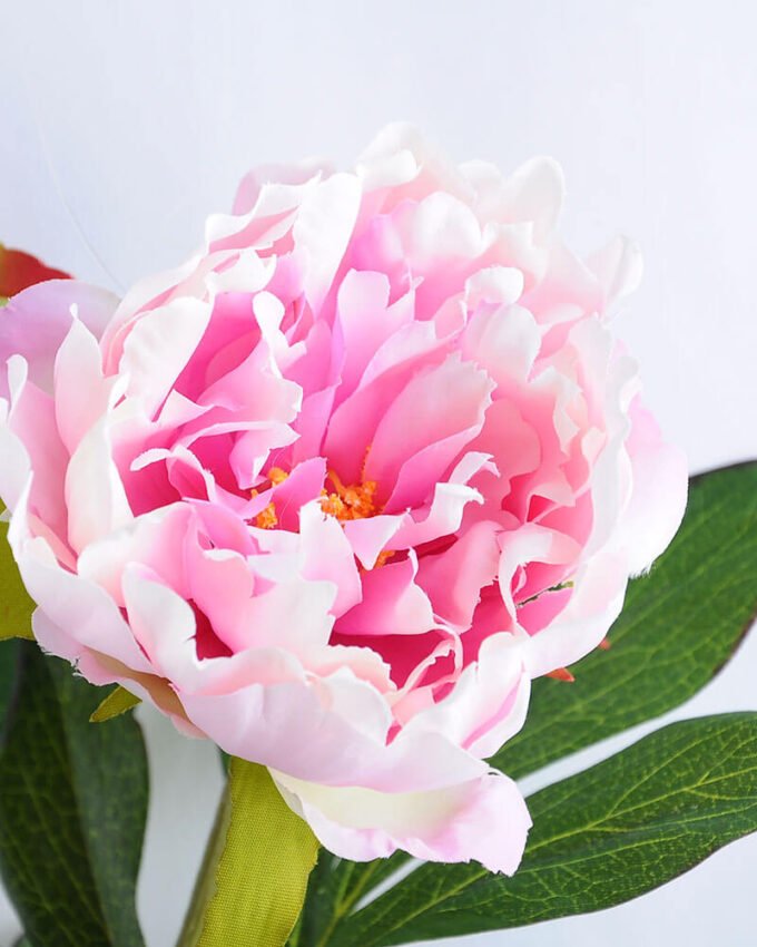 Artificial Flower 33*75cm Peony Spray*3 GS-14519018-Z1