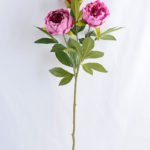 Artificial Flower 33*75cm Peony Spray*3 GS-14519018-Z3
