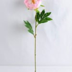 Artificial Flower 18*53CM Singel Peony GS-53619015-P1