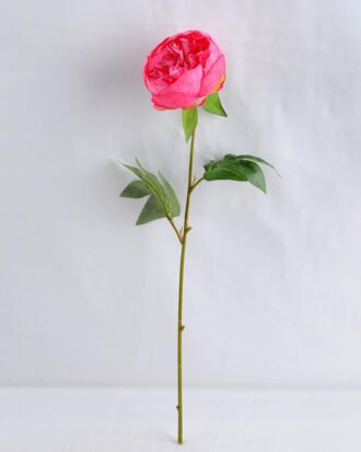 Artificial Flower 18*53CM Singel Peony GS-53619015-R1