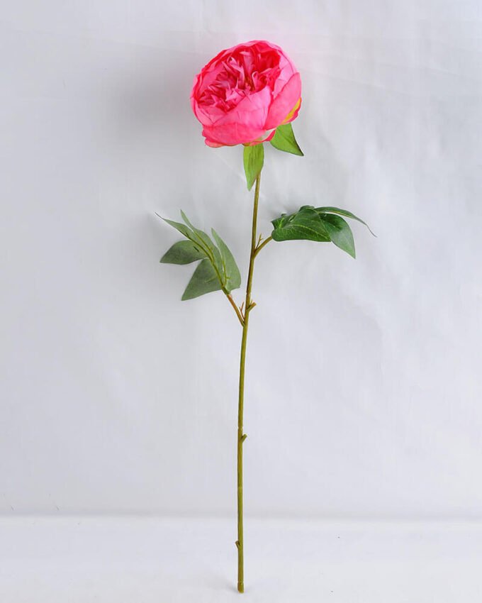 Artificial Flower 18*53CM Singel Peony GS-53619015-R1