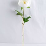 Artificial Flower 18*53CM Singel Peony GS-53619015-W1