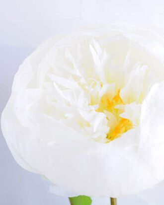 Artificial Flower 18*53CM Singel Peony GS-53619015-W1