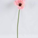 Artificial Flower 8.5*28cm Singel Poppy Flower GS-42819015-P1