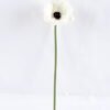 Artificial Flower 8.5*28cm Singel Poppy Flower GS-42819015-W1