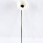 Artificial Flower 8.5*28cm Singel Poppy Flower GS-42819015-W1
