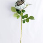Artificial Flower 20*60cm Singel Rose GS-14519019-B1