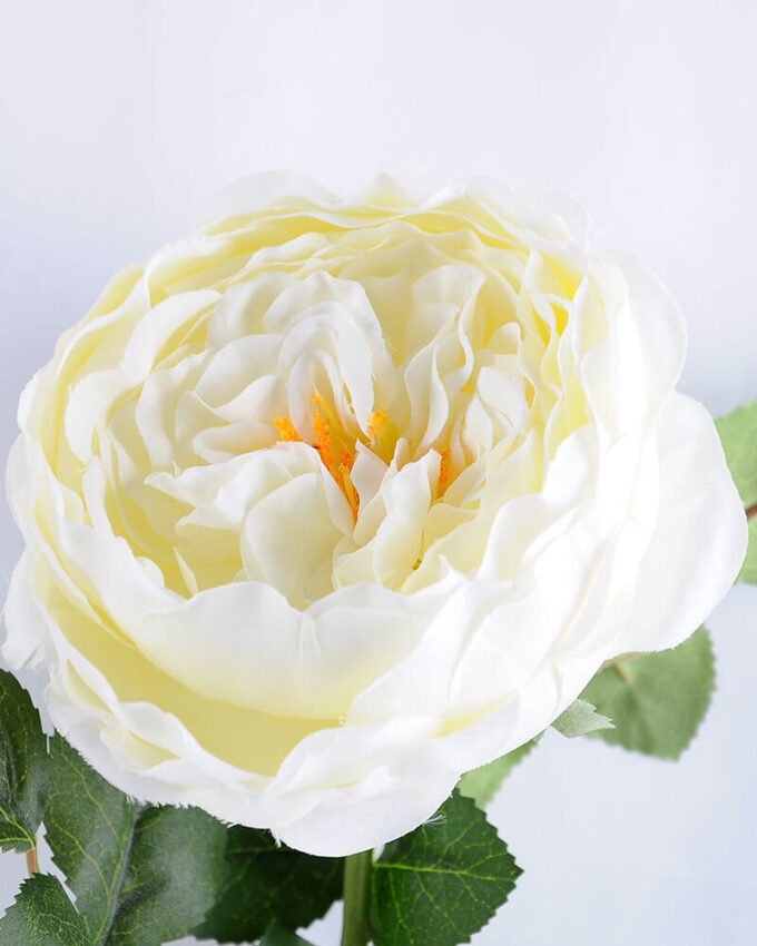 Artificial Flower 20*60cm Singel Rose GS-14519019-W1 2 Artificial Flower 20*60cm Singel Rose GS-14519019-W1