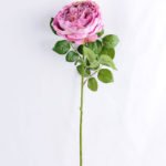 Artificial Flower 20*60cm Singel Rose GS-14519019-Z2