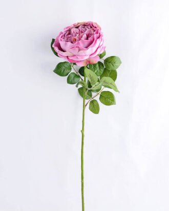 Artificial Flower 20*60cm Singel Rose GS-14519019-Z2 Single Flowers YeahFlower is one of Chinese leading OEM manufacturers and exporters , supplying the silk flowers, wholesale artificial trees Artificial Flower 20*60cm Singel Rose GS-14519019-Z2