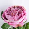 Artificial Flower 20*60cm Singel Rose GS-14519019-Z2 2 Artificial Flower 20*60cm Singel Rose GS-14519019-Z2
