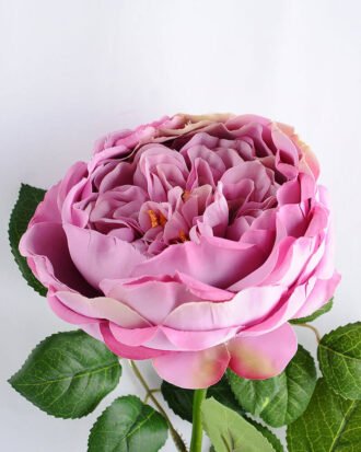 Artificial Flower 20*60cm Singel Rose GS-14519019-Z2 Single Flowers YeahFlower is one of Chinese leading OEM manufacturers and exporters , supplying the silk flowers, wholesale artificial trees Artificial Flower 20*60cm Singel Rose GS-14519019-Z2