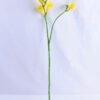 Artificial Flower 21*65cmSingel Tuberose spray*2 GS-53619014-Y1