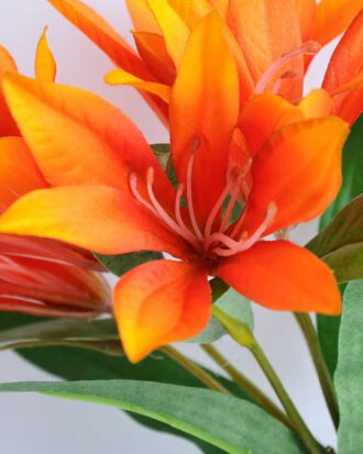 Artificial Flower 21*65CM Singel lily GS-53619019-O1