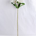 Artificial Flower 21*65CM Singel lily GS-53619019-W1