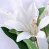Artificial Flower 21*65CM Singel lily GS-53619019-W1
