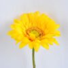 Artificial Flower 8.5*38CM Singel mum GS-53619013-Y1
