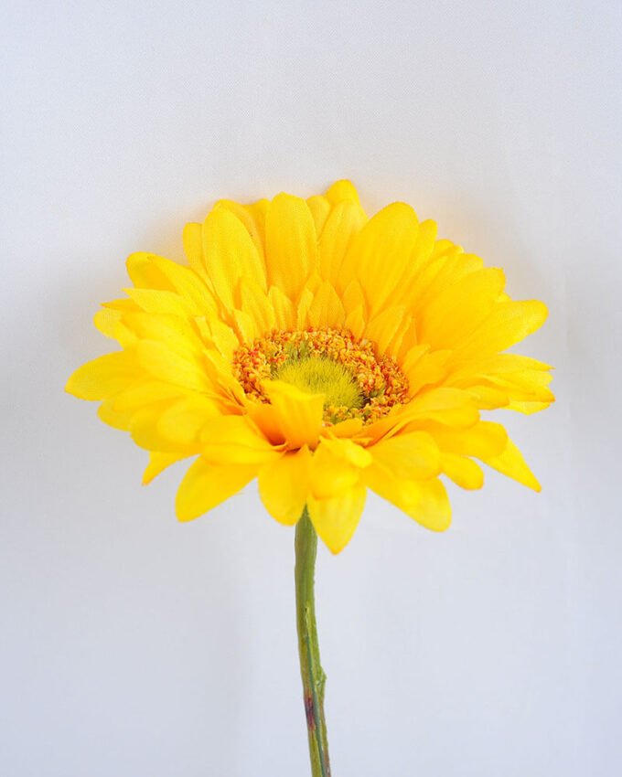 Artificial Flower 8.5*38CM Singel mum GS-53619013-Y1