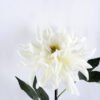 Artificial Flower 18*72CM Single Dahlia GS-42819018-W1