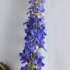 Artificial Flower 17*76CM Single Delphinium GS-53619016-Z1 4 Artificial Flower 17*76CM Single Delphinium GS-53619016-Z1