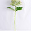 Artificial Flower 24*58CM Single Hydrangea GS-53619023 1 Artificial Flower 24*58CM Single Hydrangea GS-53619023