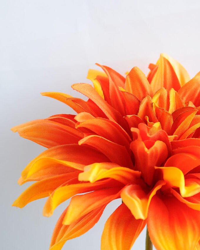 Artificial Flower 16*53CM Single dahlia GS-53619005-O1