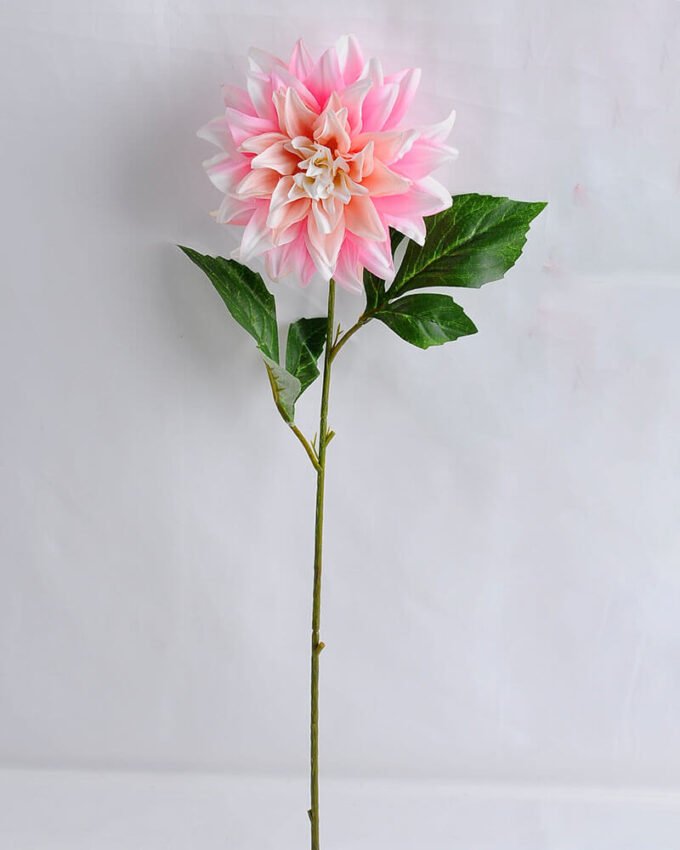 Artificial Flower 16*53CM Single dahlia GS-53619005-P1 1 Artificial Flower 16*53CM Single dahlia GS-53619005-P1