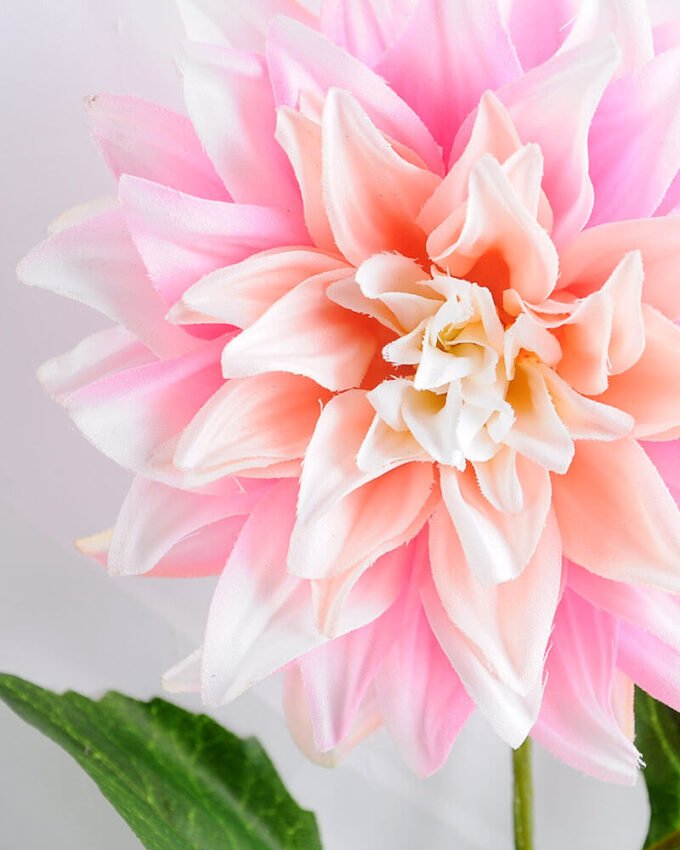 Artificial Flower 16*53CM Single dahlia GS-53619005-P1 2 Artificial Flower 16*53CM Single dahlia GS-53619005-P1