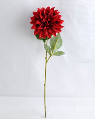 Artificial Flower 16*53CM Single dahlia GS-53619005-R1