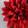 Artificial Flower 16*53CM Single dahlia GS-53619005-R1 2 Artificial Flower 16*53CM Single dahlia GS-53619005-R1